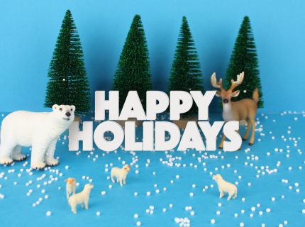 Happy holiday Spotcap